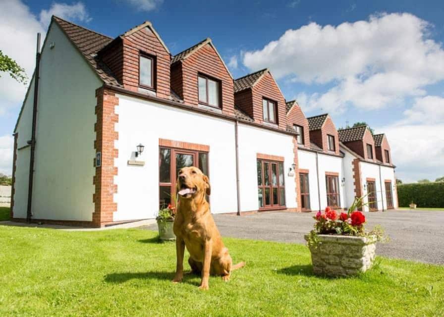 White Rose Country Cottages Thormanby Exterior foto